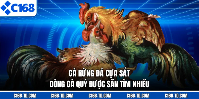Gà Rừng Đá Cựa Sắt - Dòng Gà Quý Được Săn Tìm Nhiều