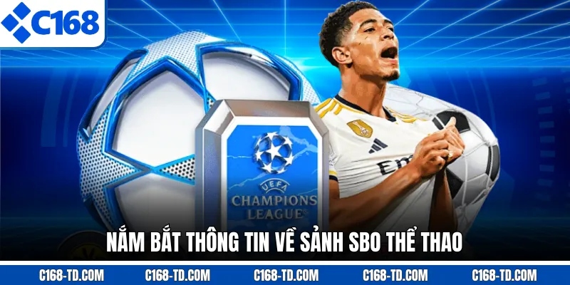 Nắm Bắt Thông Tin Về Sảnh SBO Thể Thao